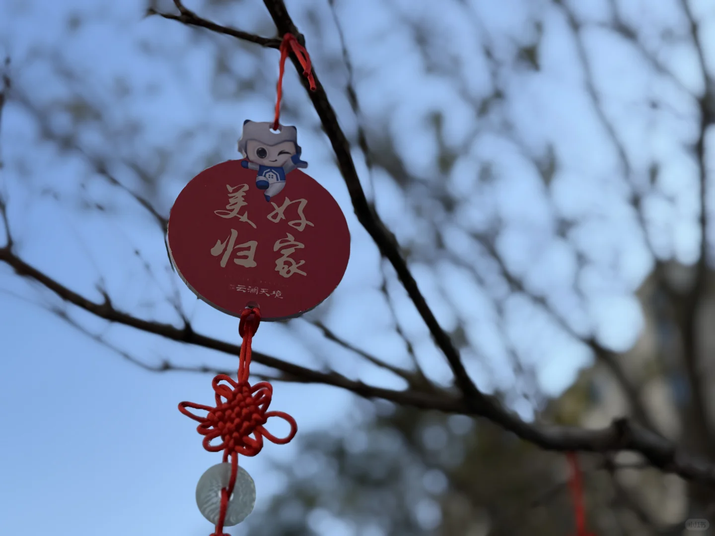 风和日丽🌞，喜提新房🏠