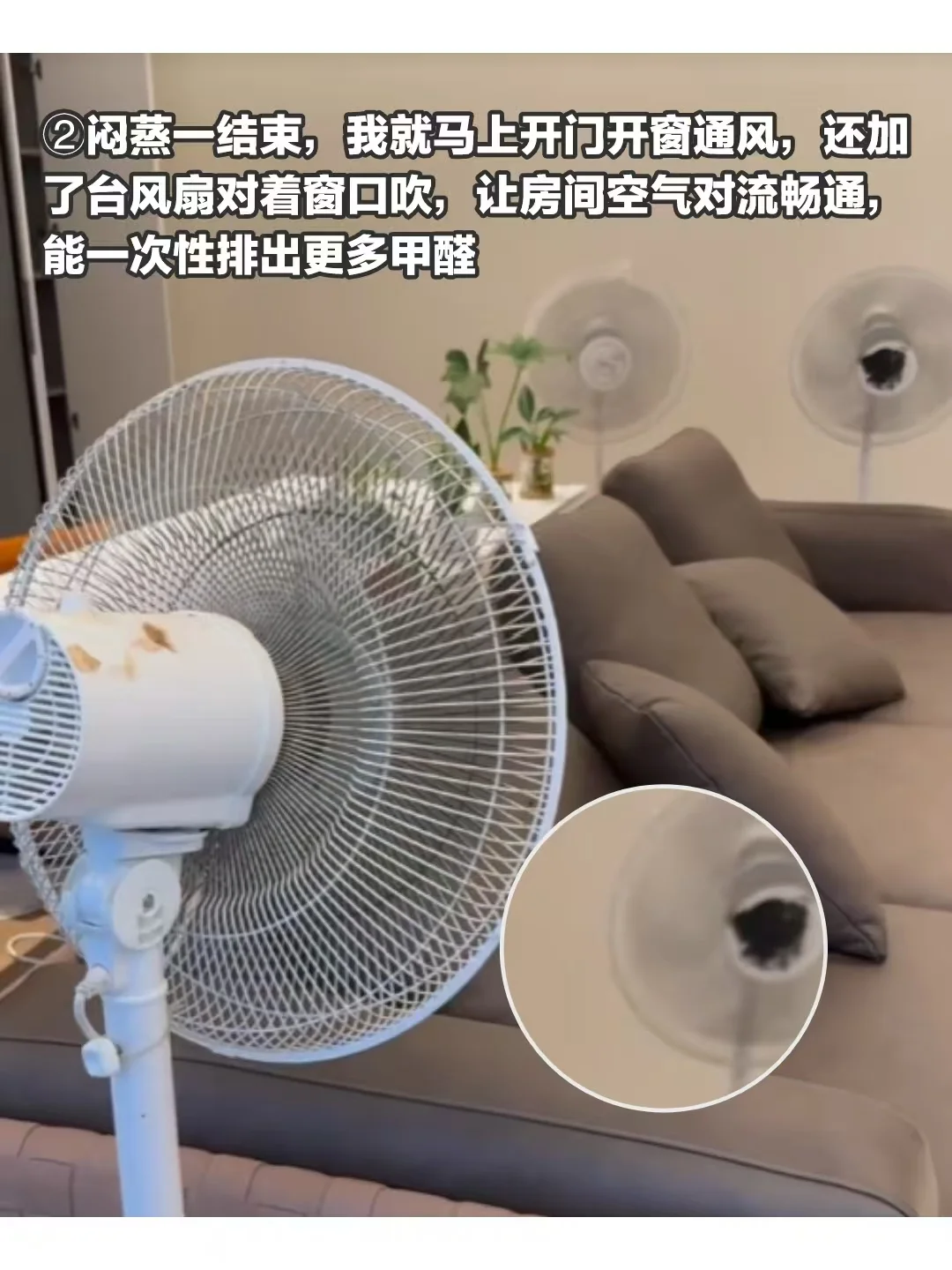 u1s1，这样除甲醛我愿称之为新房救星！