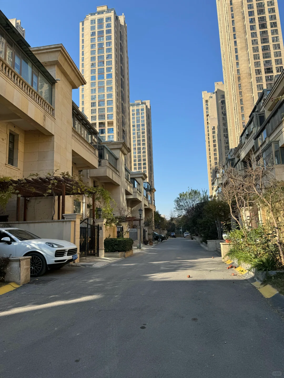 阳光满分| 小区环境真的太安逸噜