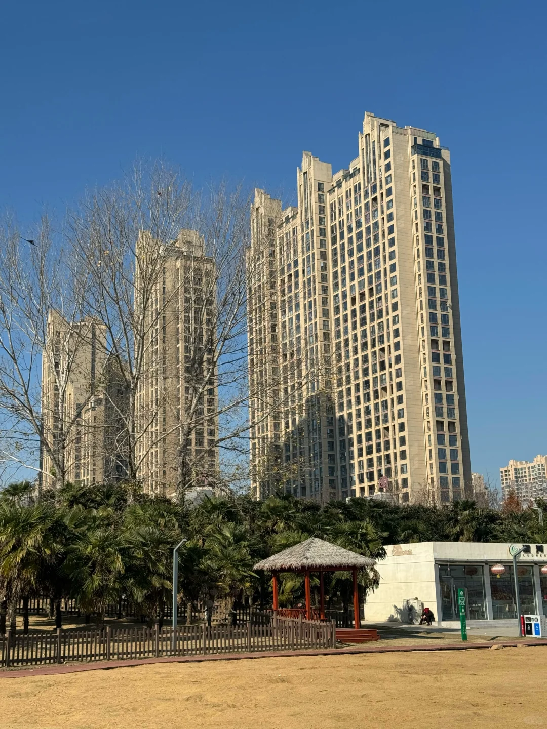 阳光满分| 小区环境真的太安逸噜