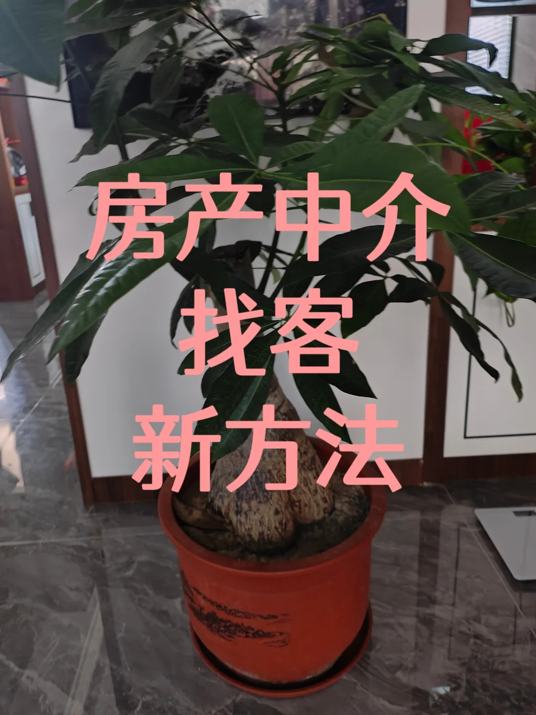 还有在做房产 停一下您的脚步 进来一下
