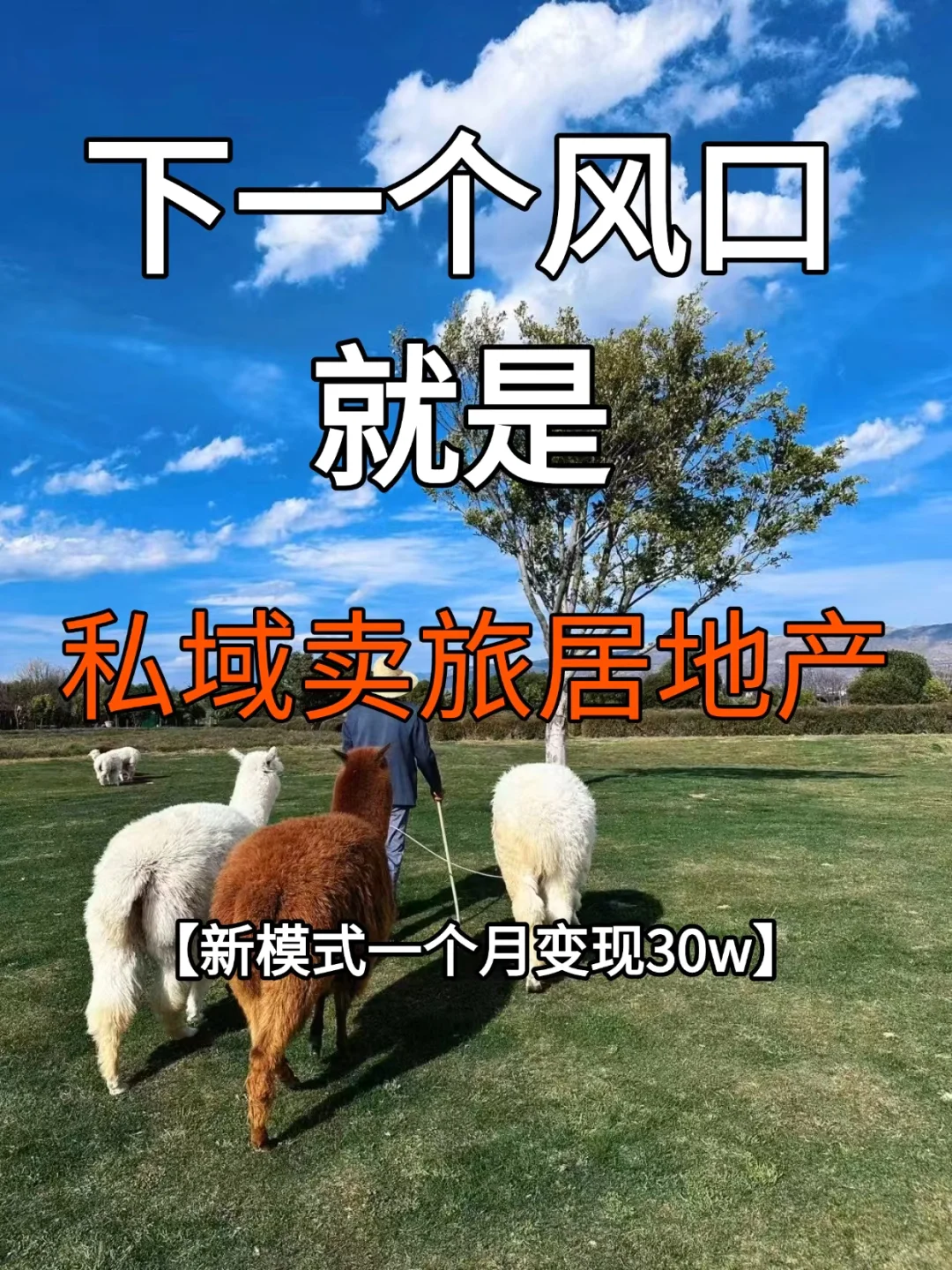 做旅居地产私域,一个月入30万❗️