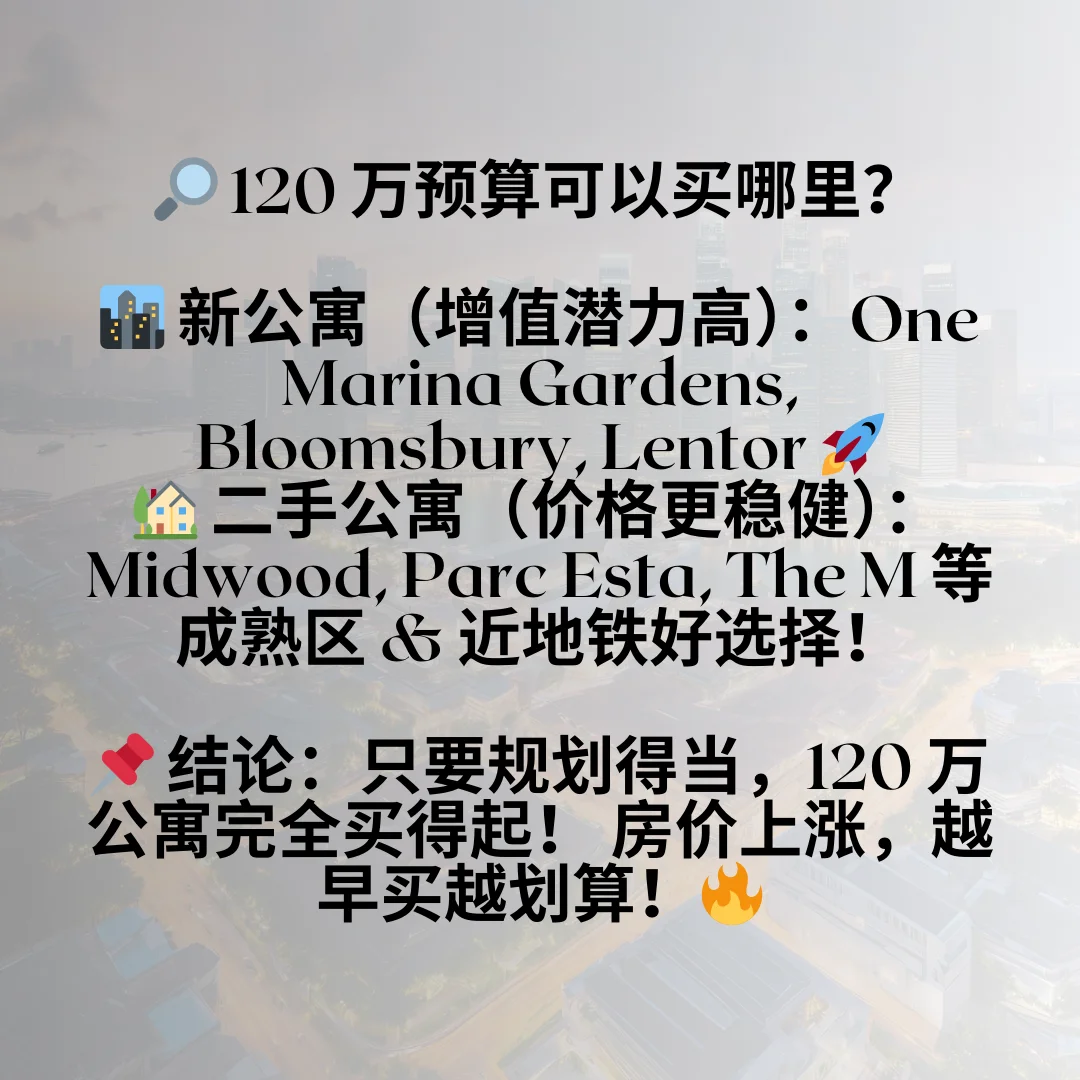 月薪 8K 新元，能买得起 120 万的公寓吗？