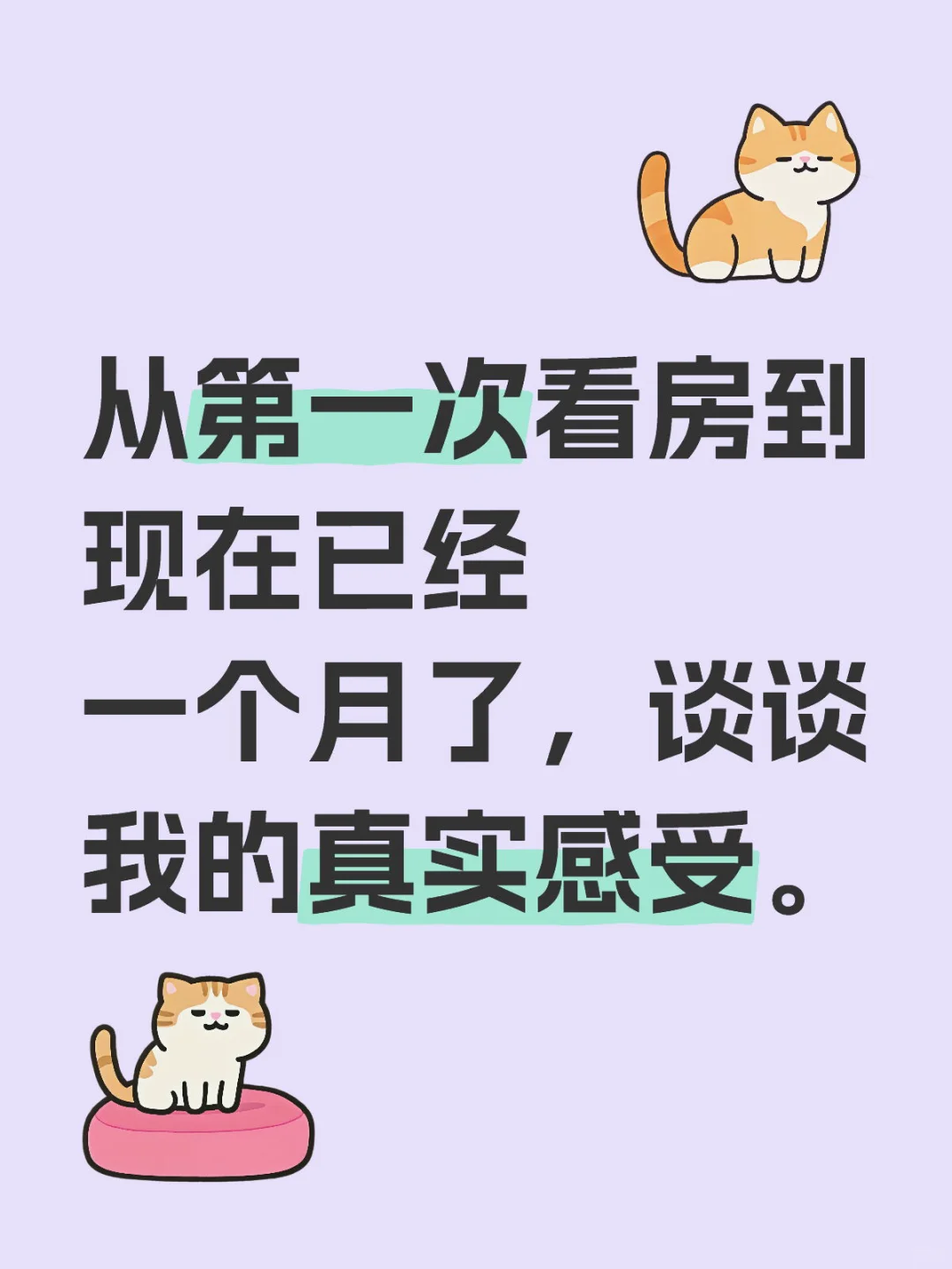明显感觉自己被小阳春推了一把