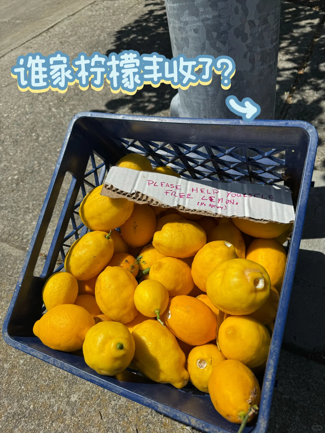 湾区买房：学区房坚挺，非学区房大掉价
