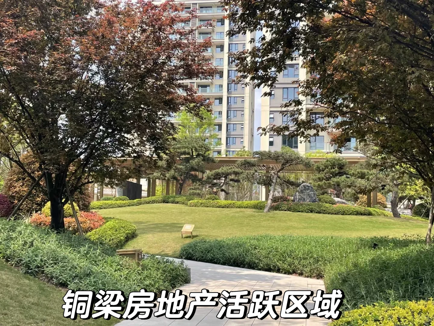 铜梁房地产区域分布