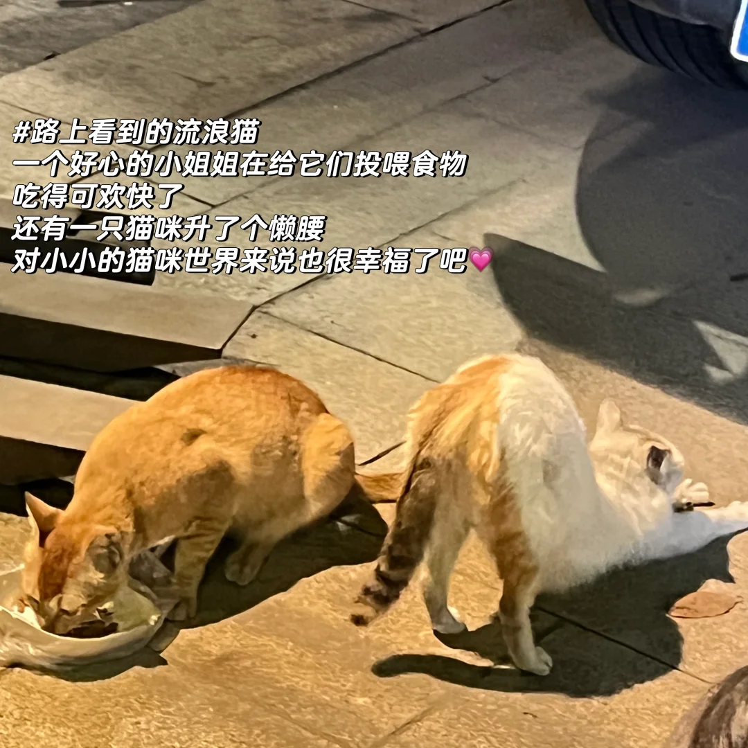 Day11｜消费贷置换房贷能省好几万？