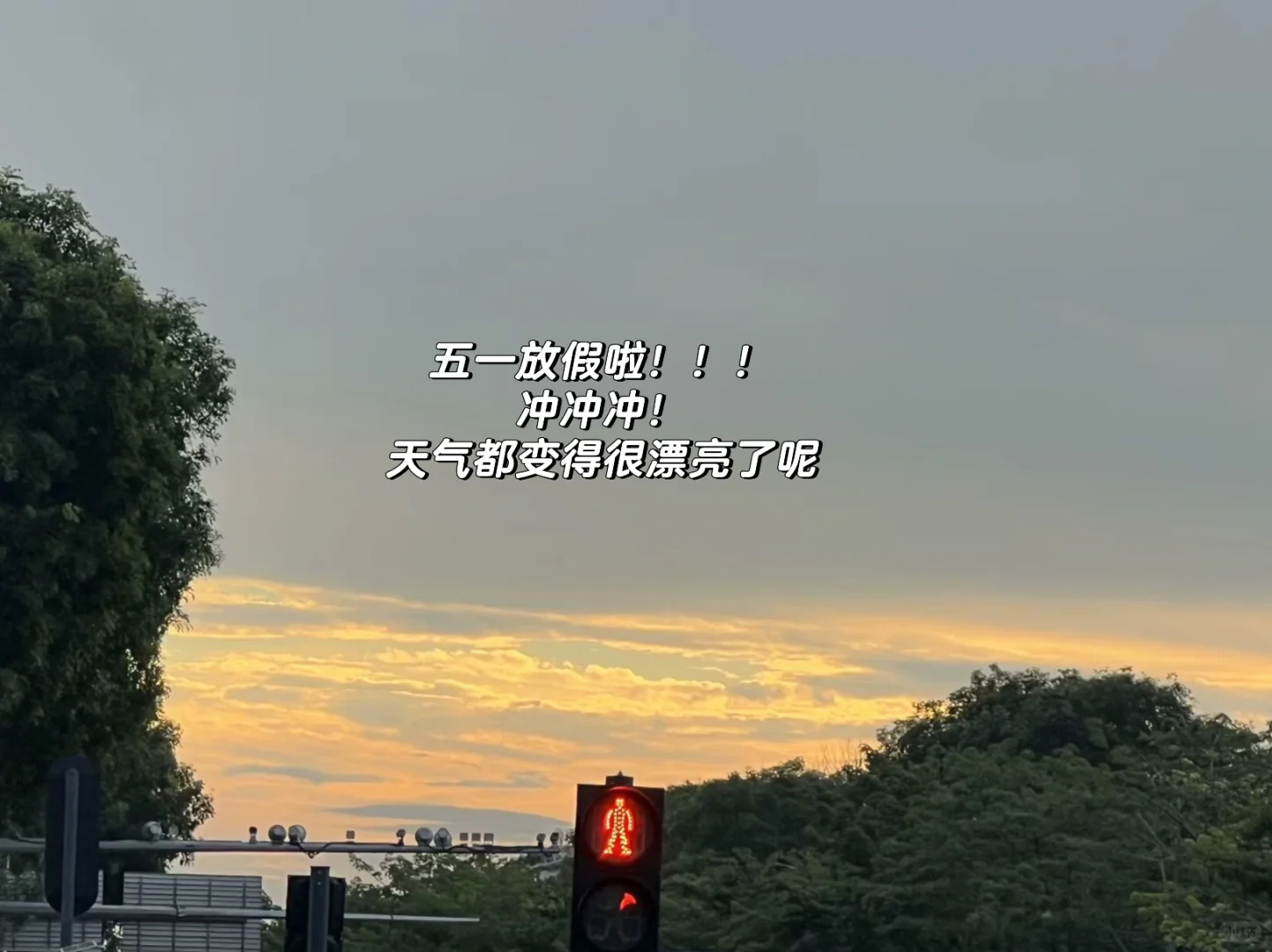 Day11｜消费贷置换房贷能省好几万？