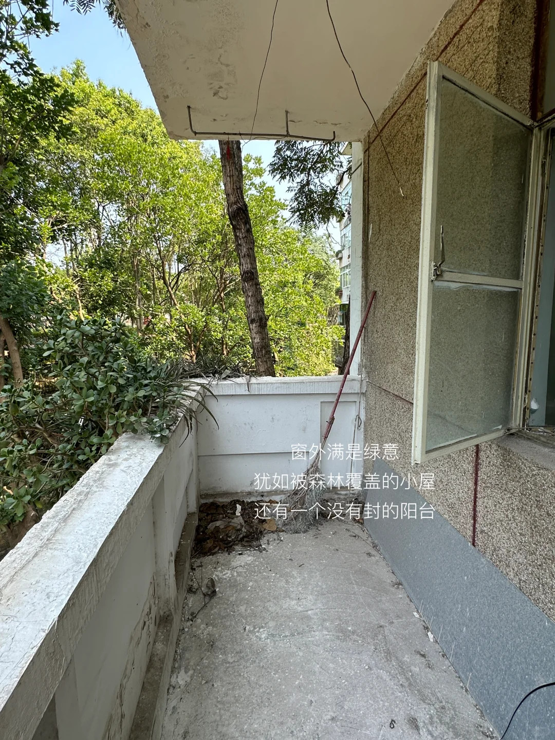 感谢350一月个的出租房，让我有了未有幸福感