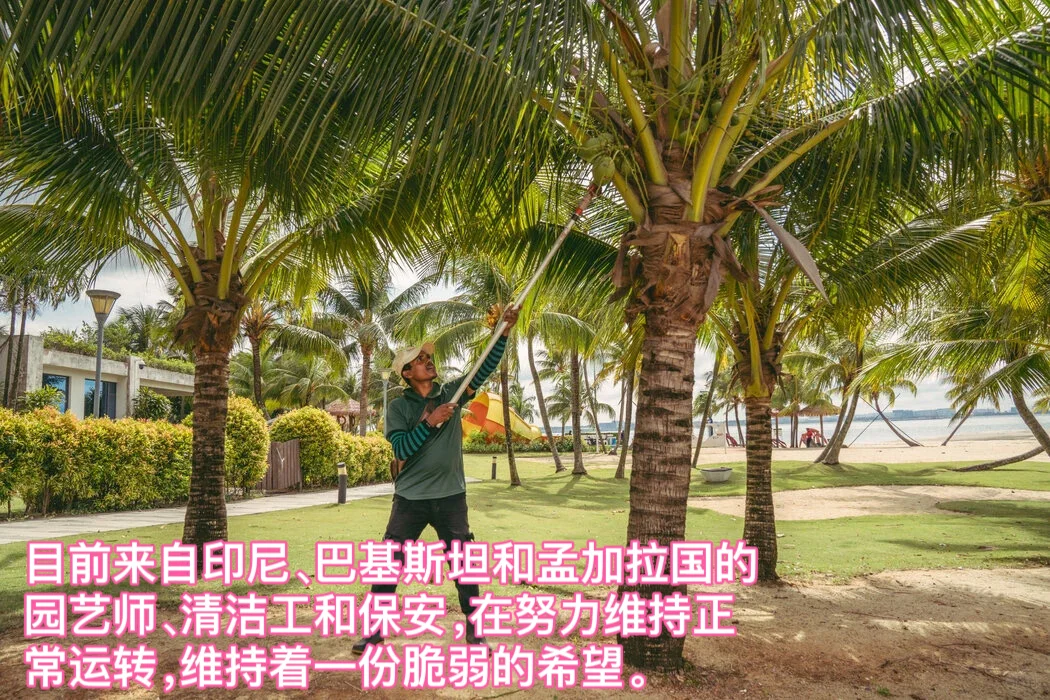 看看曾经火爆的碧桂园森林城市现在有多惨
