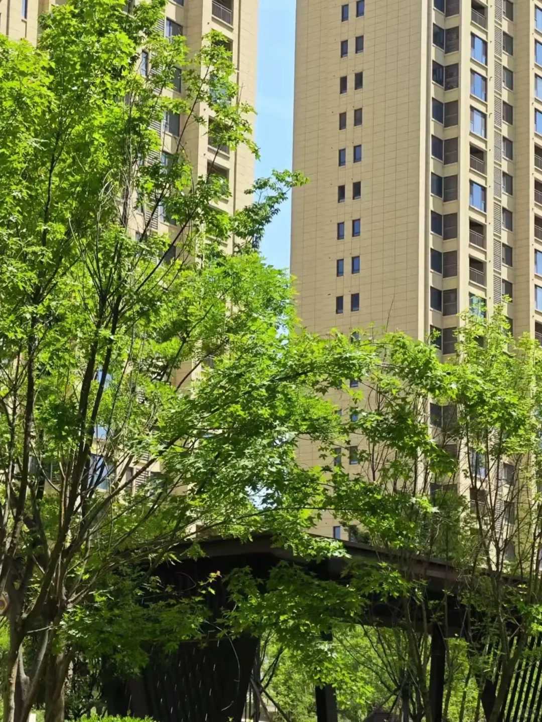 房价为何一掉再掉