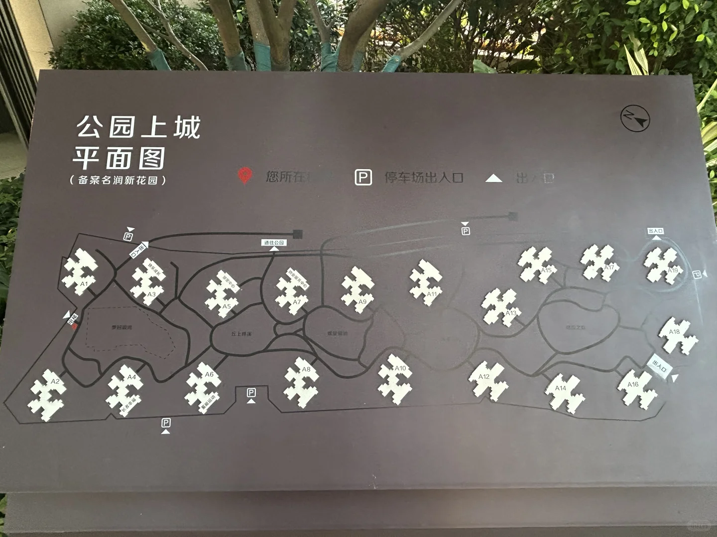 广漂8年程序员吐血整理！新塘买房终极PK：路