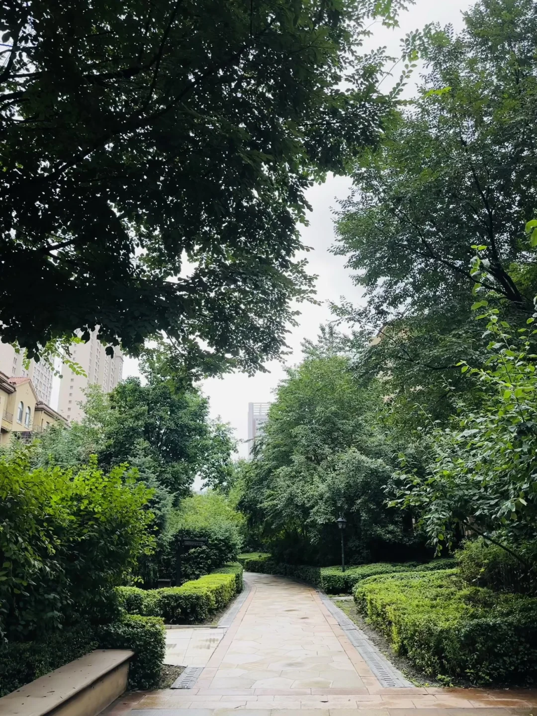 哈尔滨地中海阳光 三层洋房出售