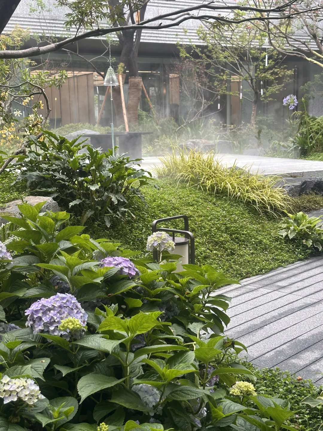 余杭宝藏楼盘被我挖到！中建玉湖之星太香了！