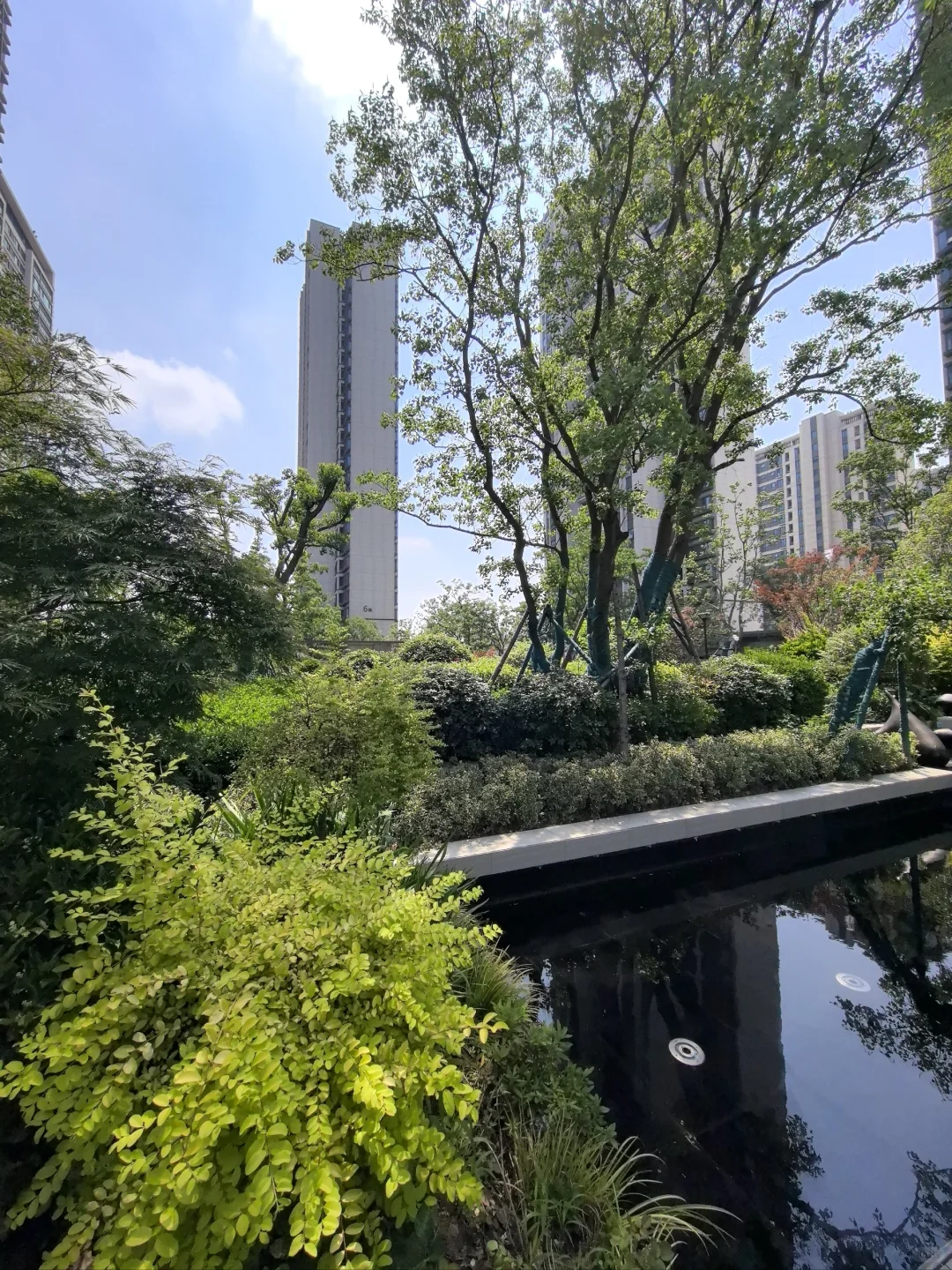 跳楼价！170㎡精装大平层！双学区龙湖品质