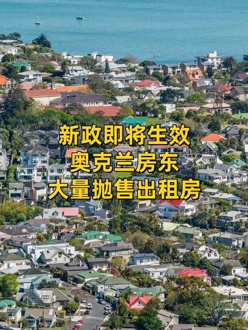 新政即将生效，奥克兰房东大量抛售出租房！