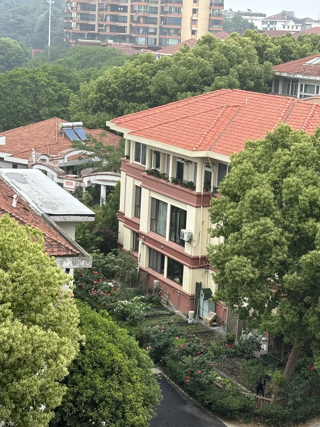 南京明城墙下发现一个特别温馨的房子