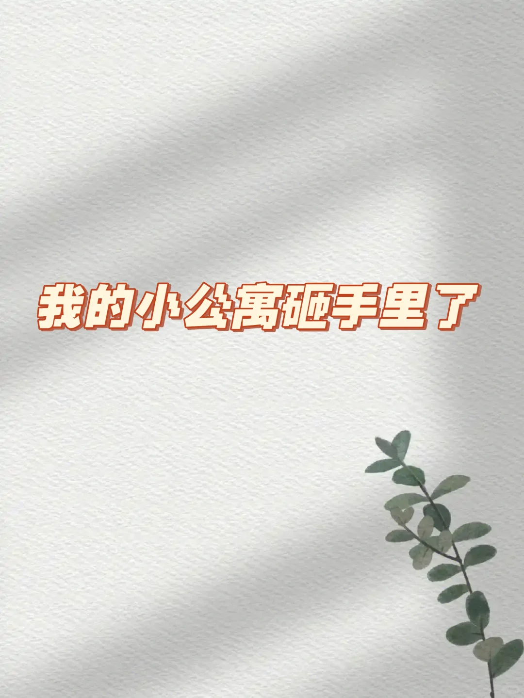 我有一套公寓