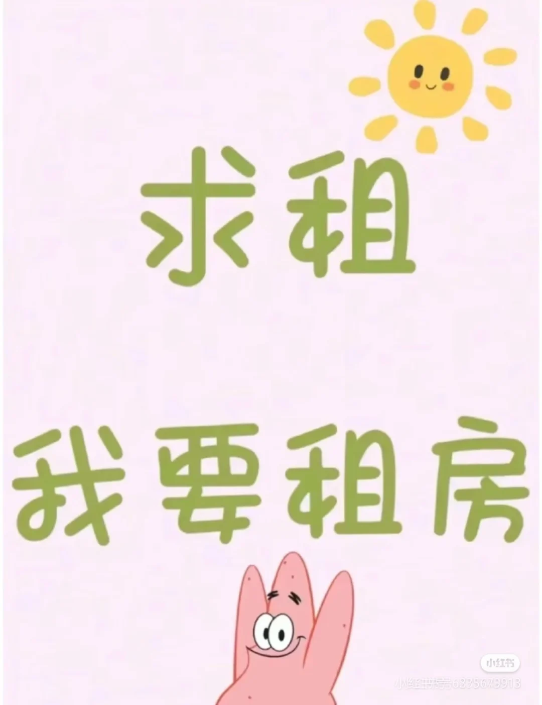 求租！！！石家庄长安区或者新华区