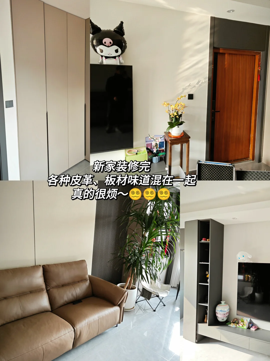 新房装修味道大，我是这么给新房除异味的～