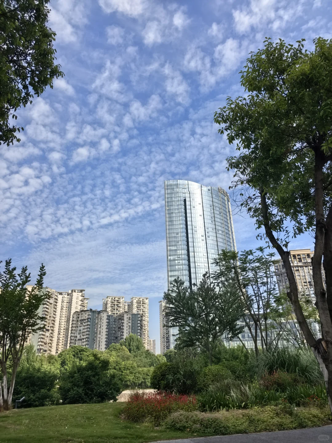 40平，38万买下，天府新区，业主急售