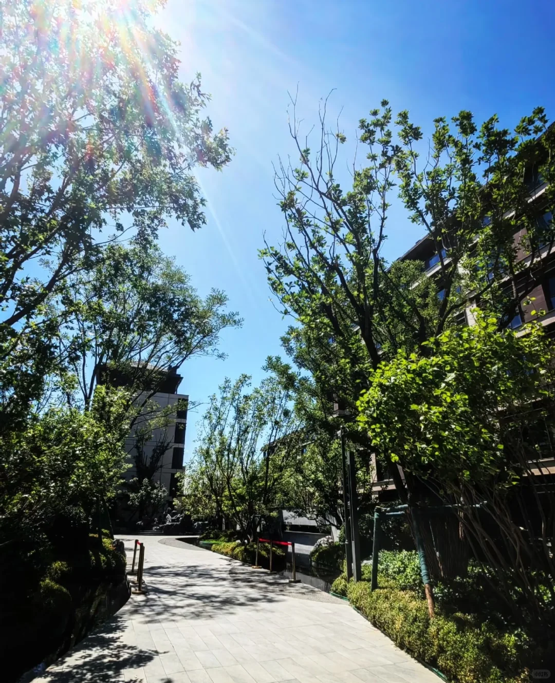 金茂科技住宅居住体验
