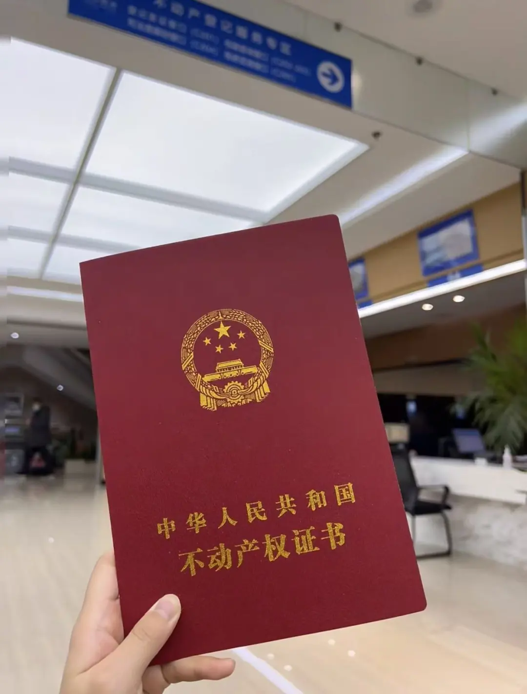 安家在广州增城噜🫧