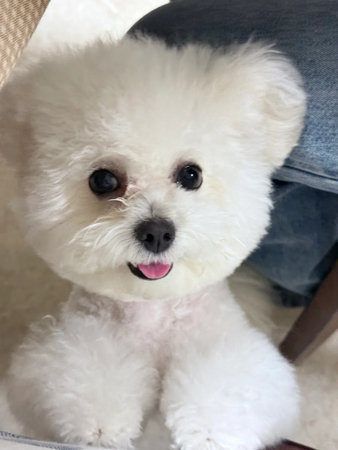 恋爱选我💖我超甜