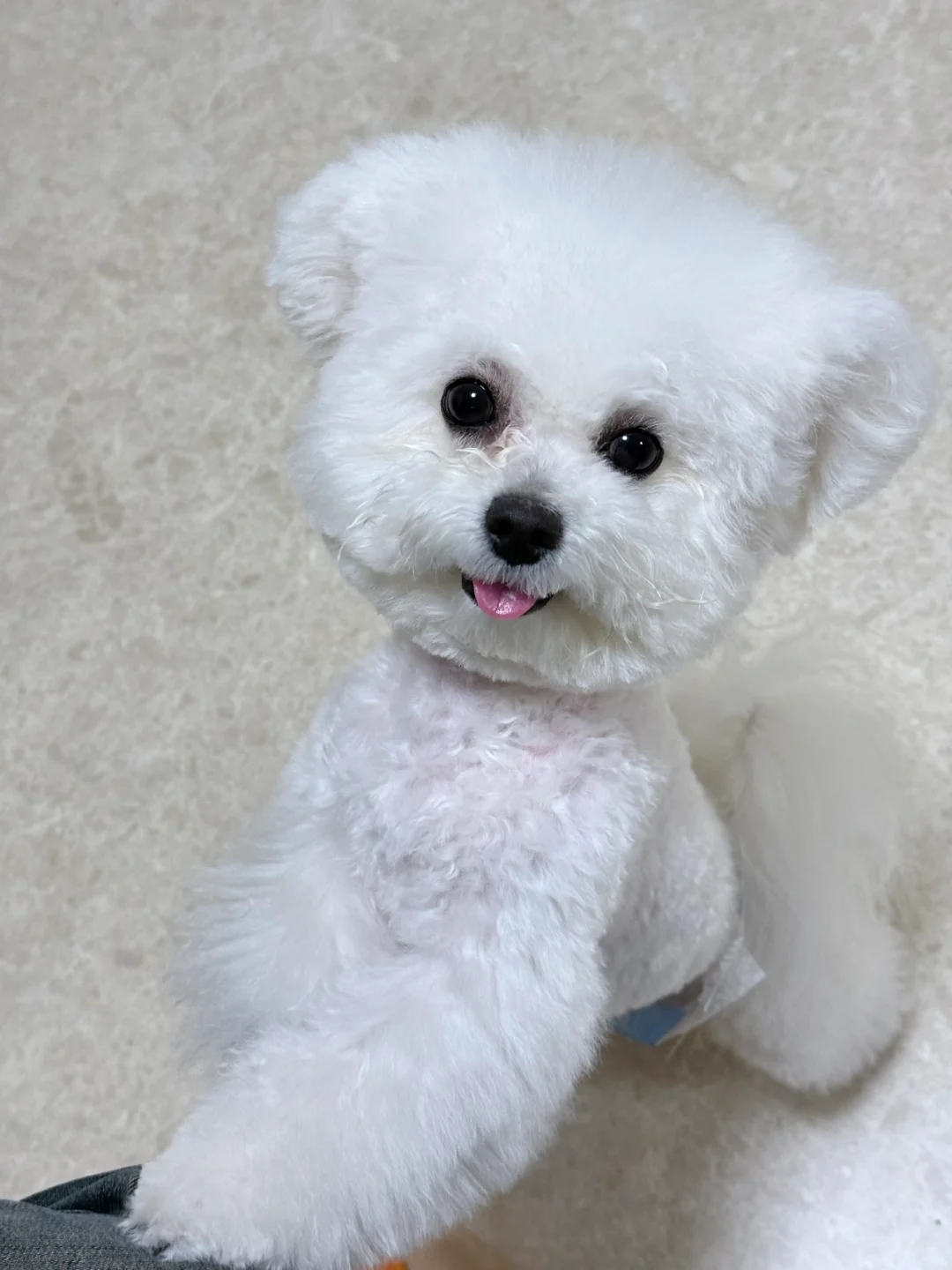 恋爱选我💖我超甜