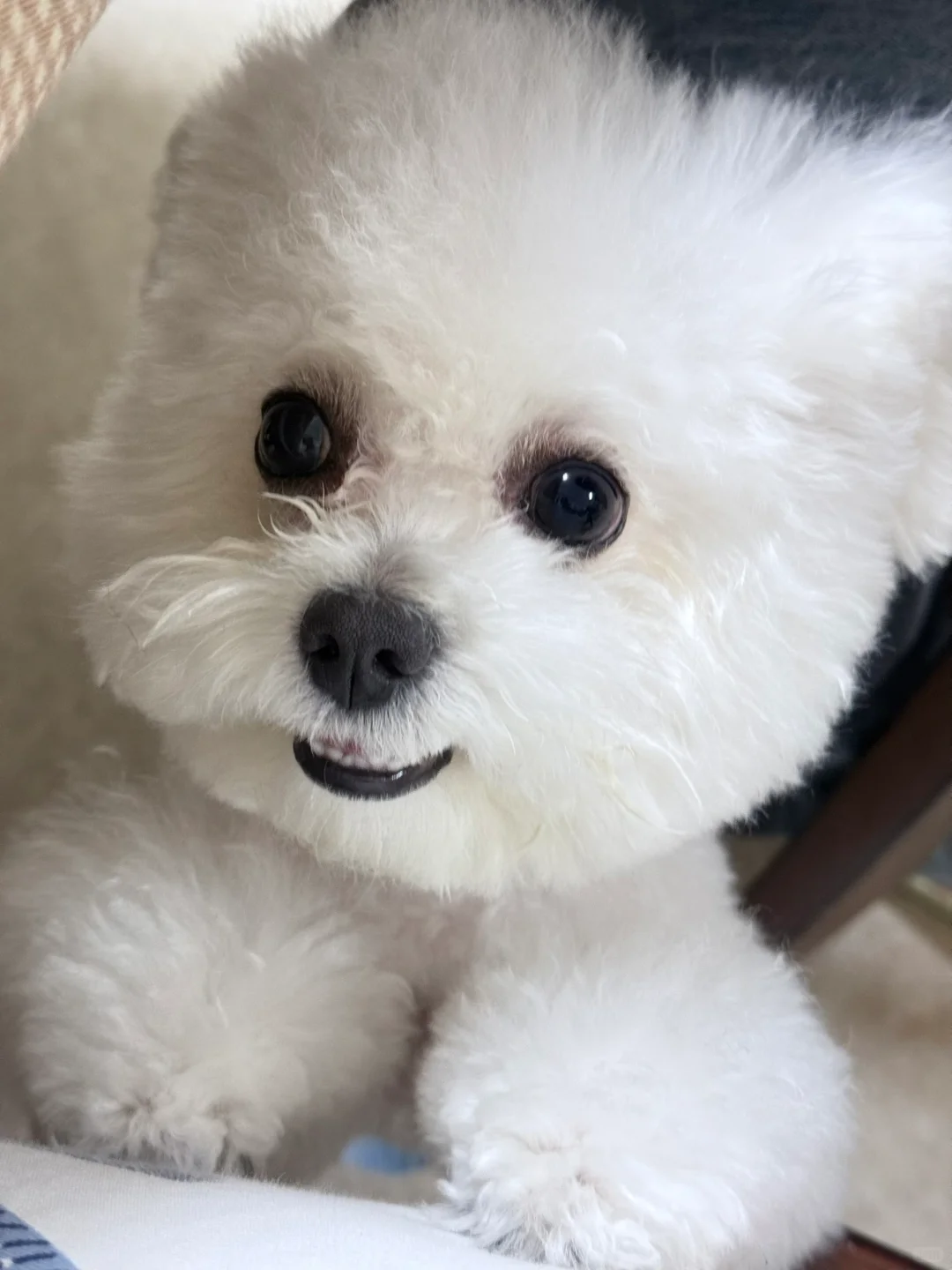 恋爱选我💖我超甜