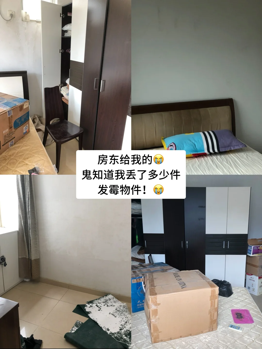 🙄鬼知道我丢了多少垃圾才得到这样的房子