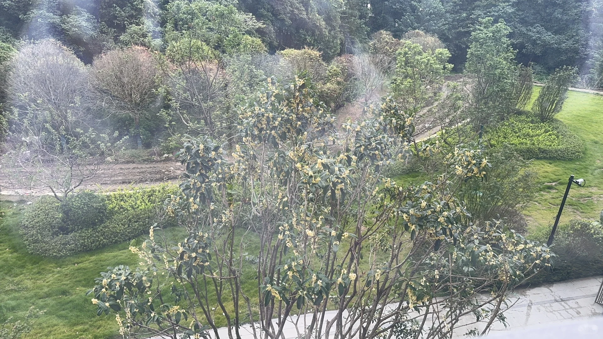 成都听说小红书卖房子更快中介勿扰