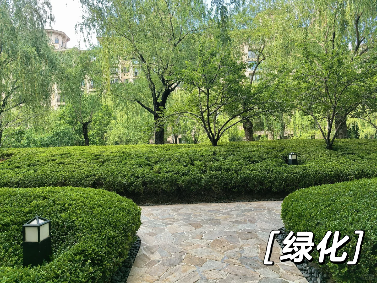 每天分享一个小区｜No.13｜星河湾