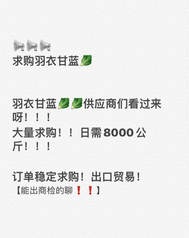 急！羽衣甘蓝大量求购！🥬