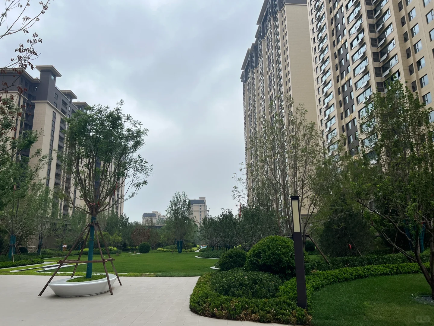 沧州运河区吾悦华府看房笔记