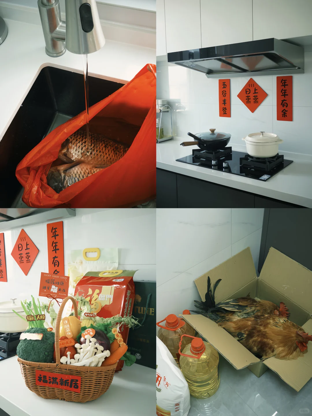 我们搬新家啦🏠｜家肥屋润 福旺人顺🧨