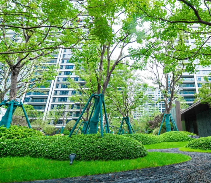 雨天收房啦🌧️ 但我的快乐震耳欲聋！