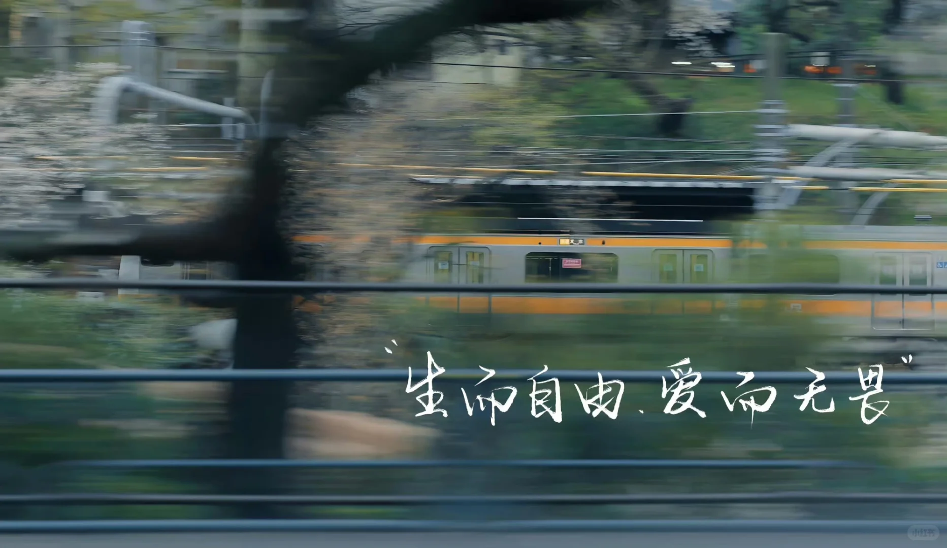 电脑 iPad壁纸