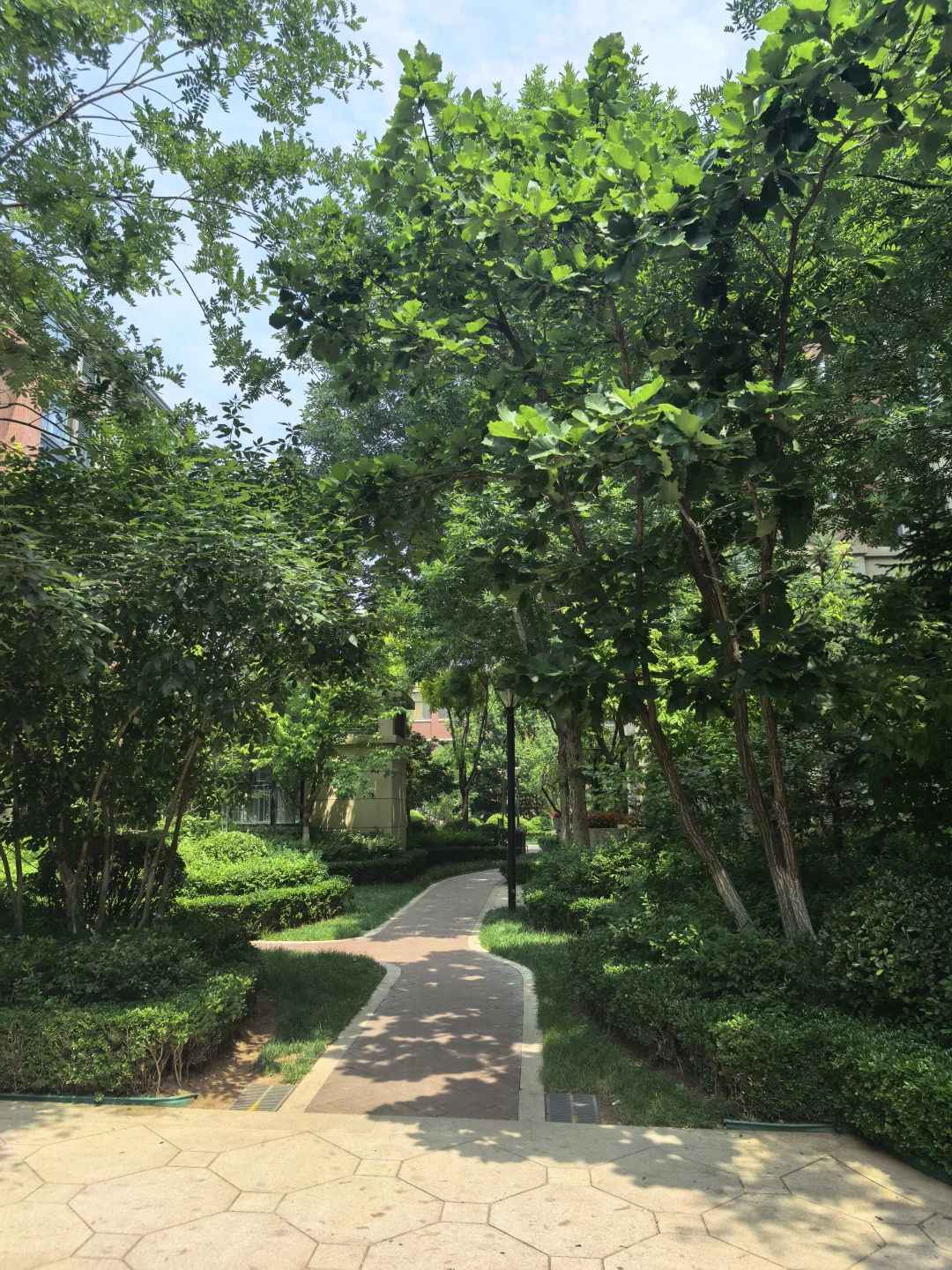 下定决心卖房子了，真的舍不得这个园景