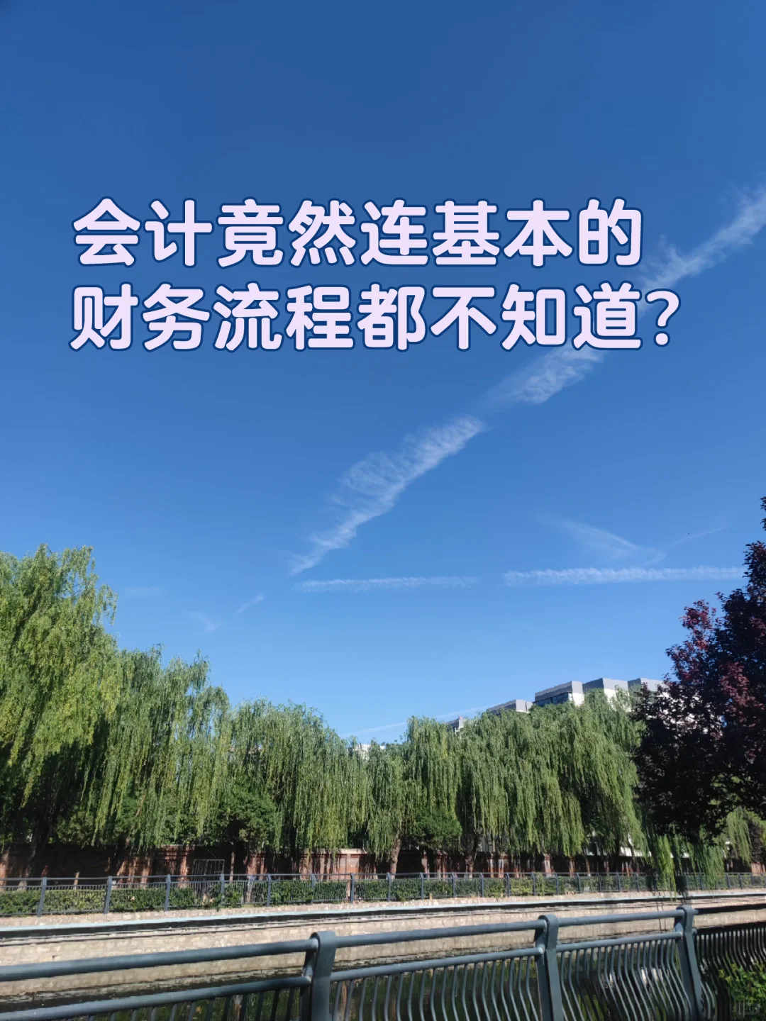 会计竟然连基本的财务流程都不知道？