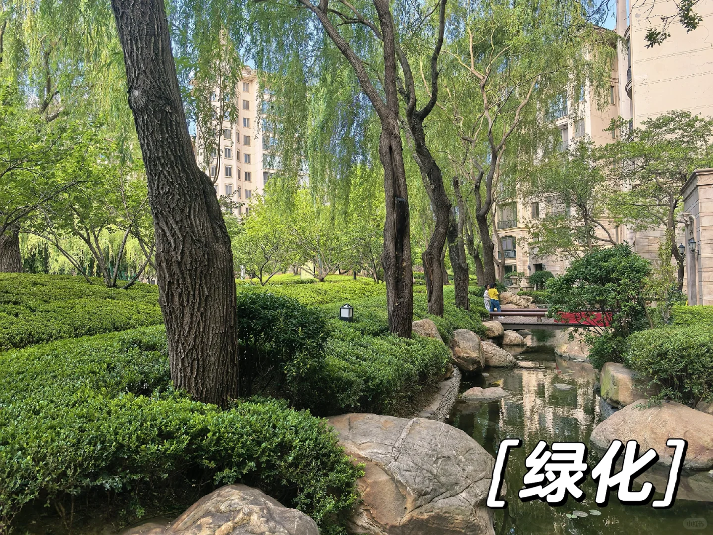 每天分享一个小区｜No.13｜星河湾