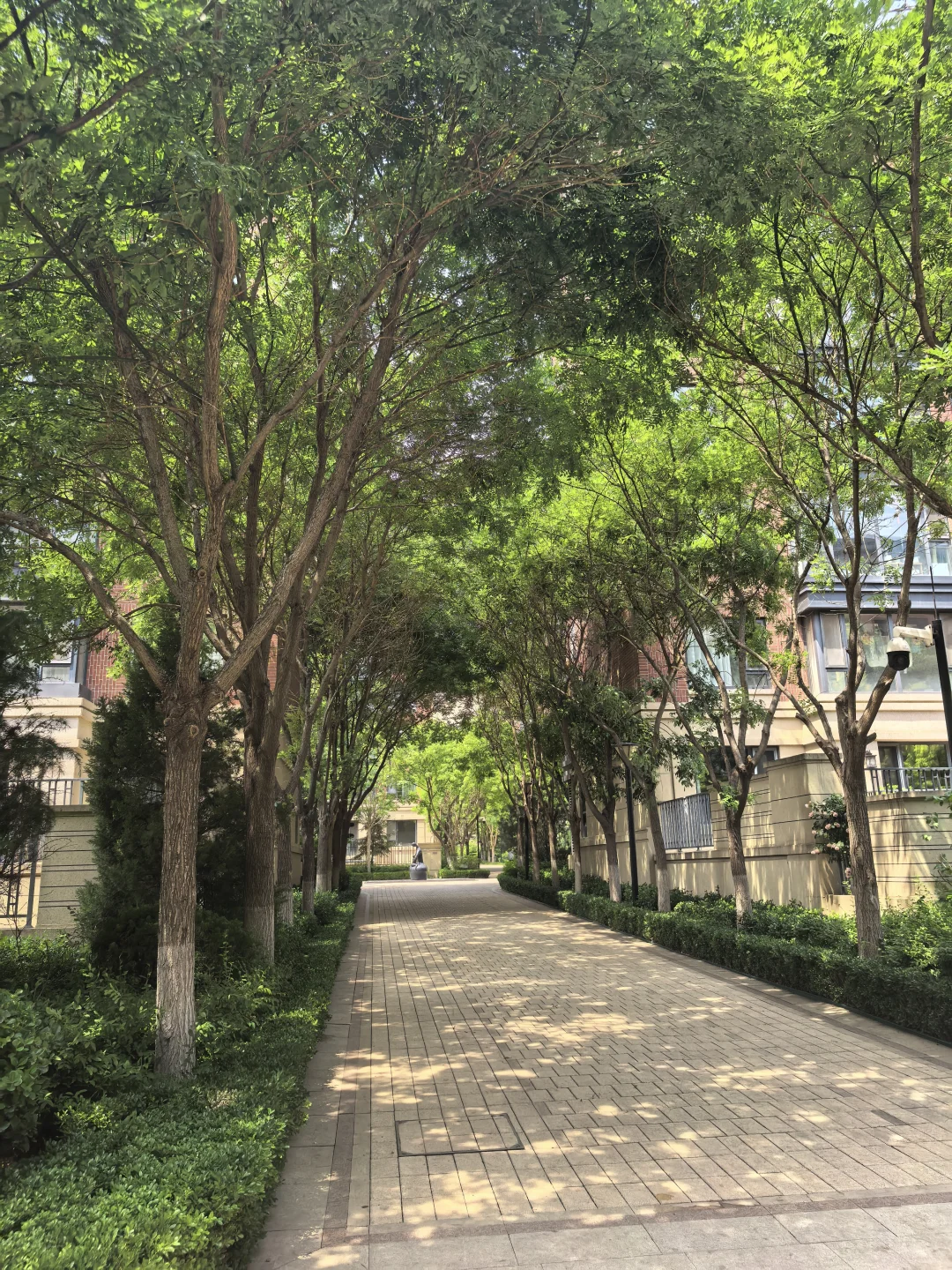 下定决心卖房子了，真的舍不得这个园景