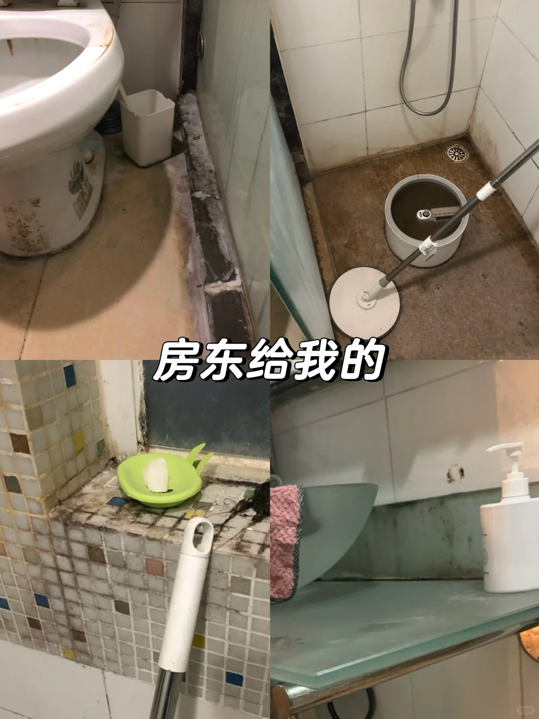 🙄鬼知道我丢了多少垃圾才得到这样的房子