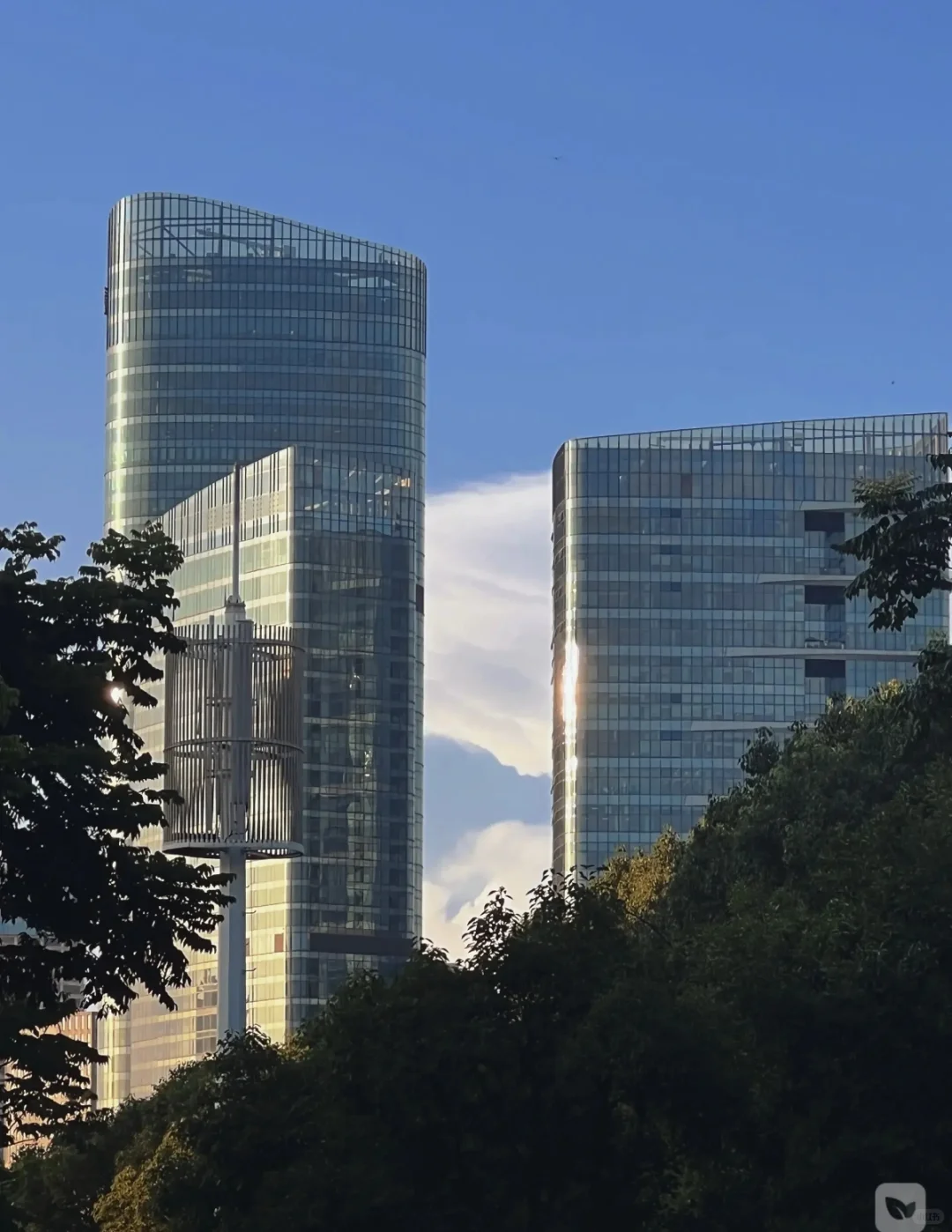 房地产市场的“抛售潮”已经来了吗？