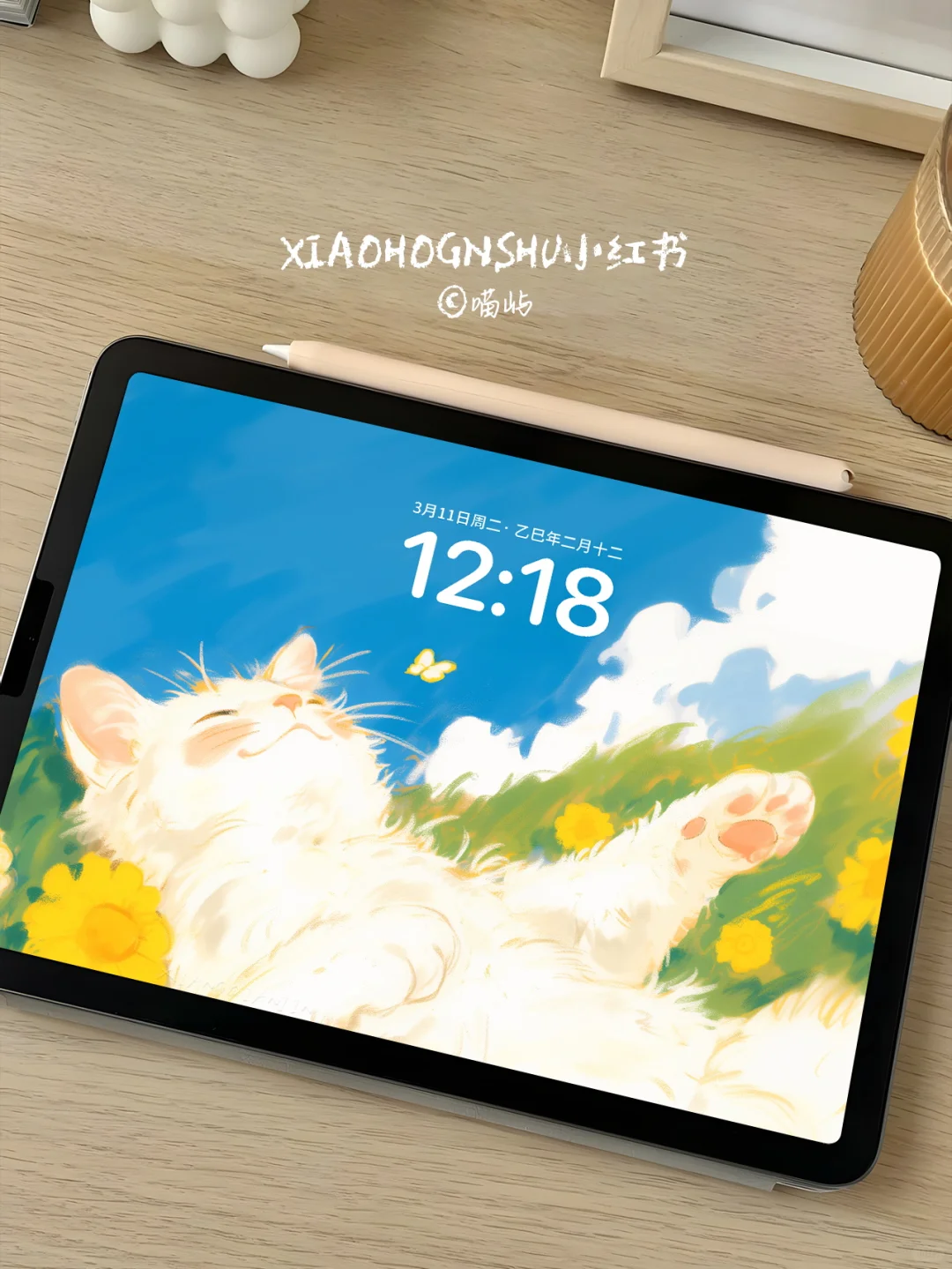 人生是旷野×可爱猫猫｜平板壁纸