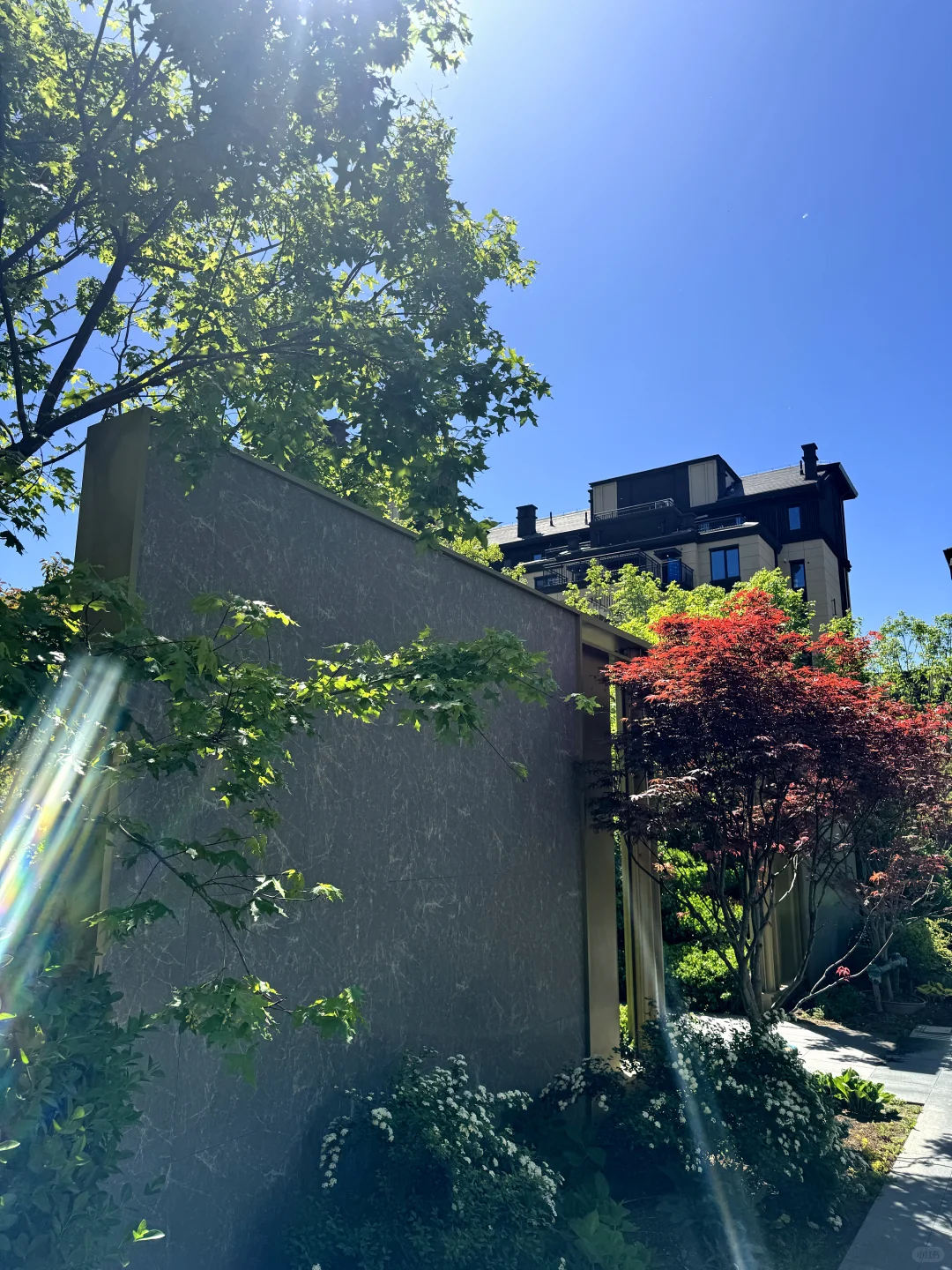 🌟喜提人生第一套叠墅！收房仪式感🏡