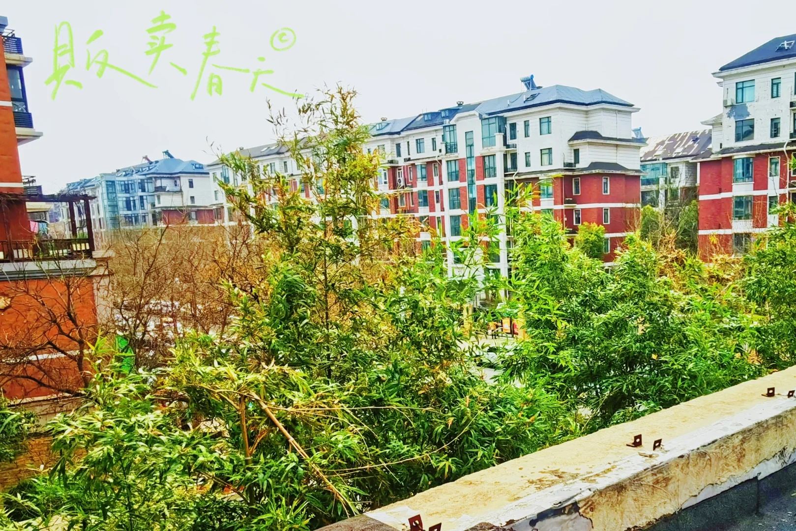 95后买了套20年的“老破大”，绝不是冲动