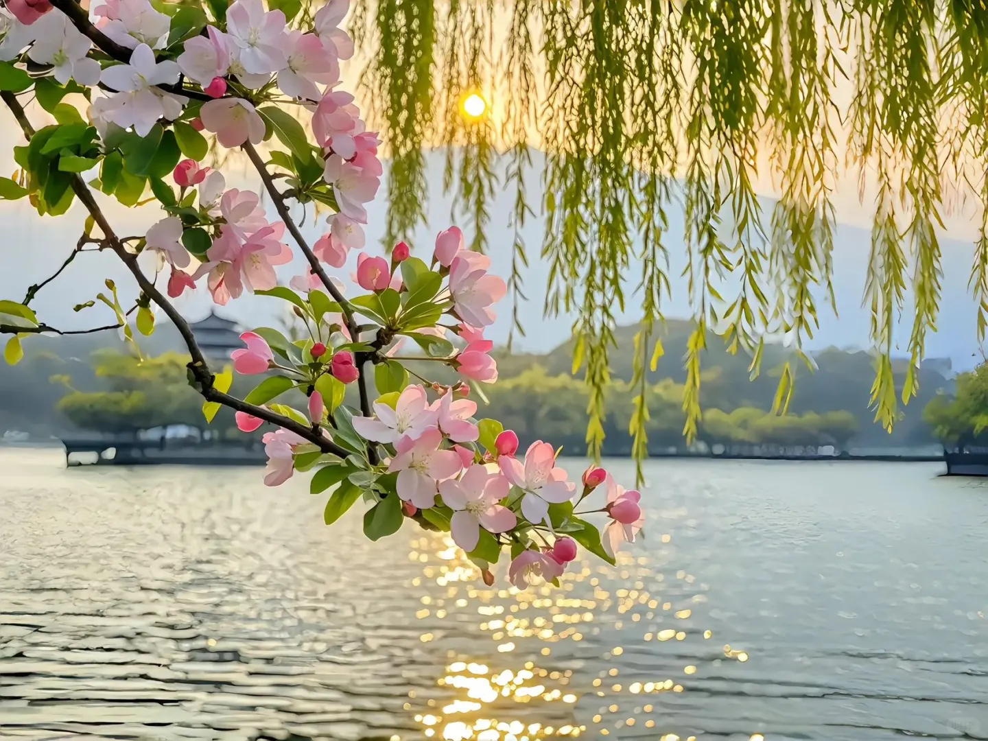 ipad横向壁纸