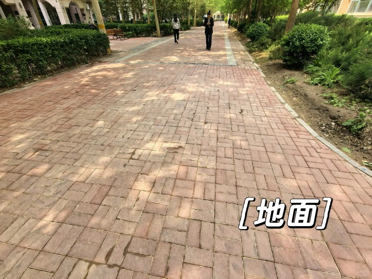 每天分享一个小区｜No.1｜珠江罗马嘉园