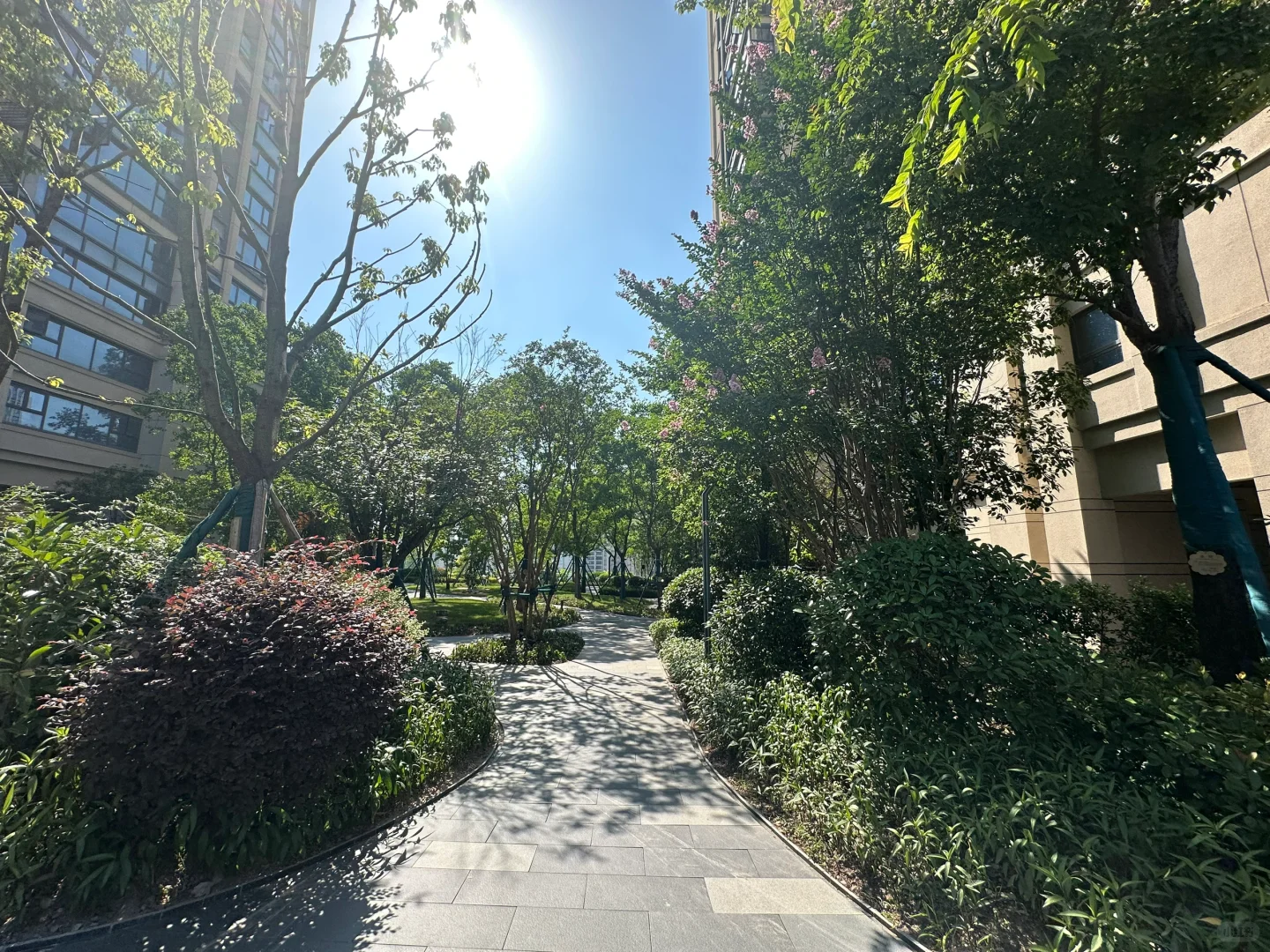 江北次新小区，宝藏楼盘，位置好价格不贵